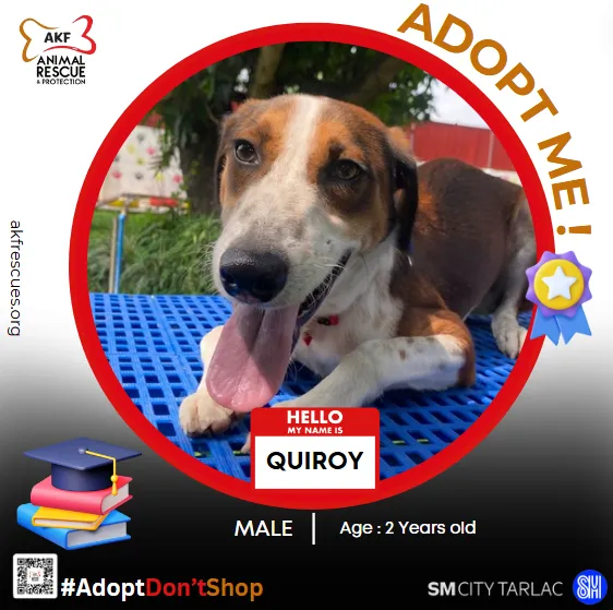 QUIROY