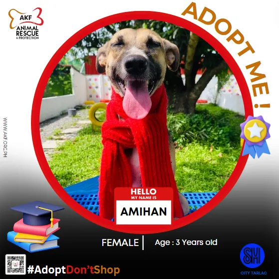 AMIHAN