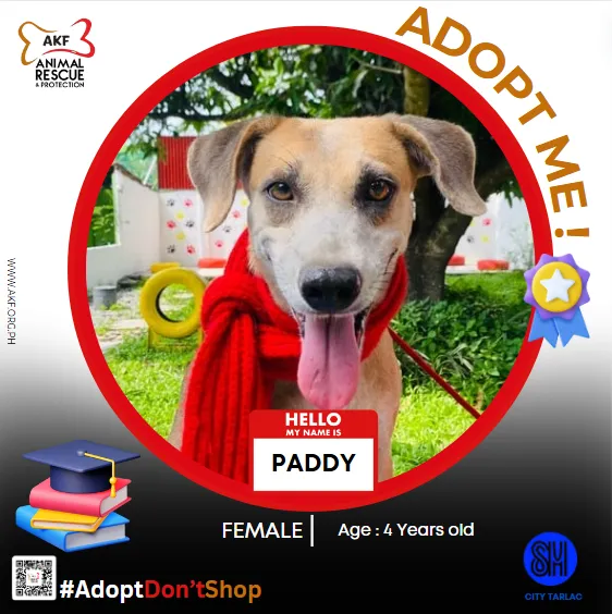 PADDY