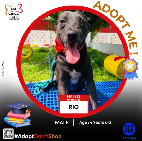 RIO