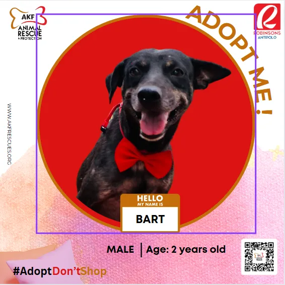 BART image 0