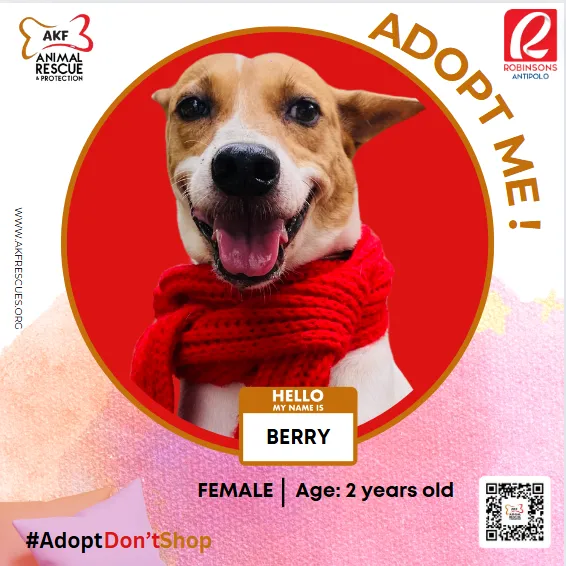 BERRY image 0