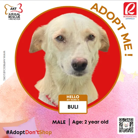BULI image 0