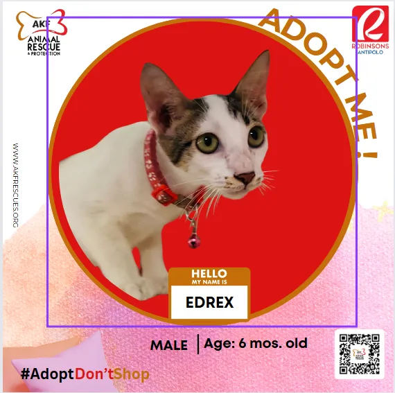 EDREX image 0