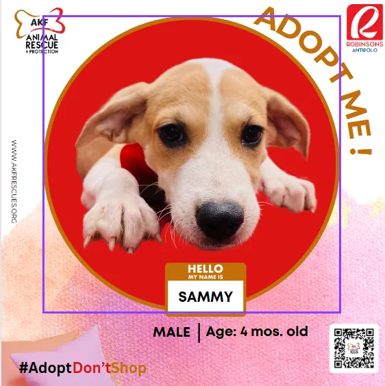 SAMMY image 0