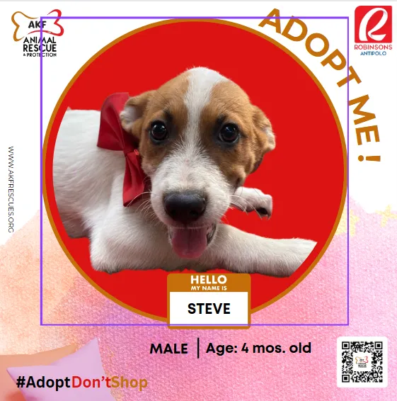 STEVE image 0