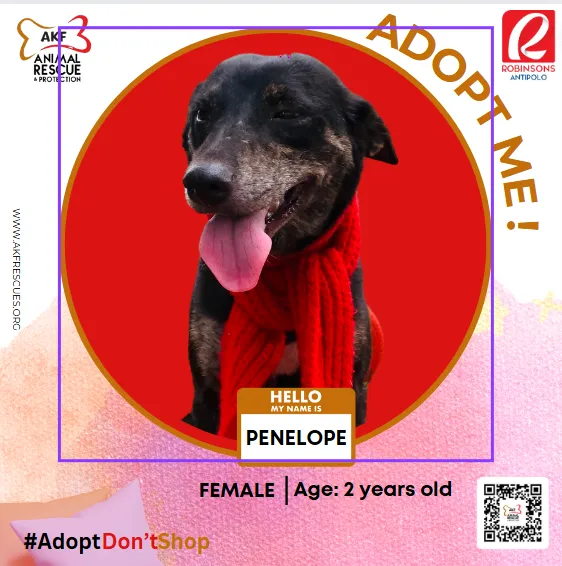 PENELOPE image 0