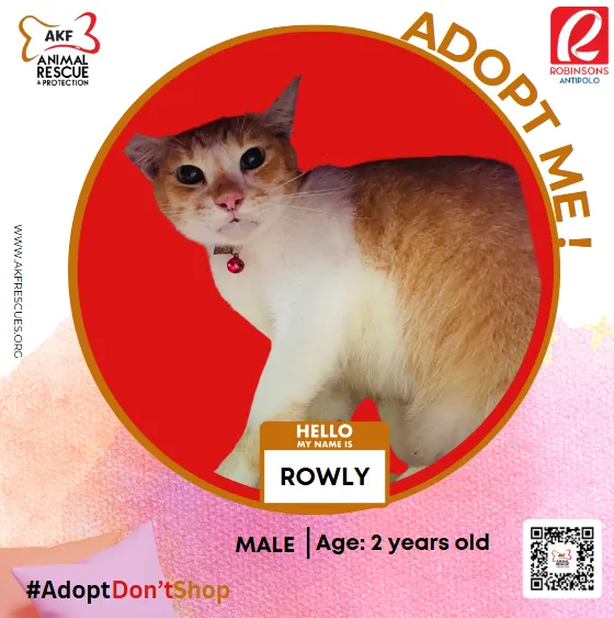 ROWLY image 0