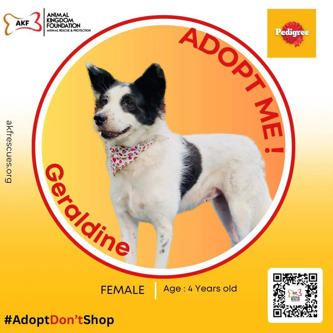 Geraldine image 0