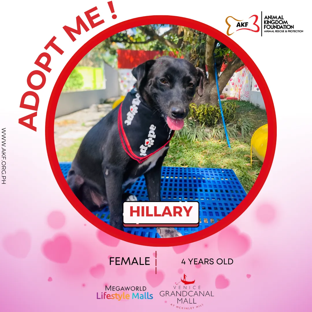 HILLARY