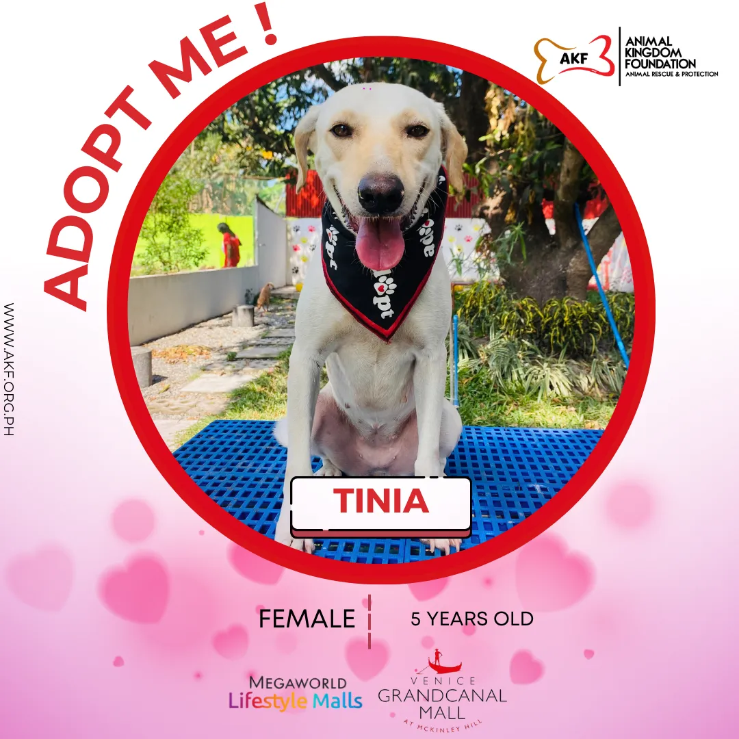 TINIA 