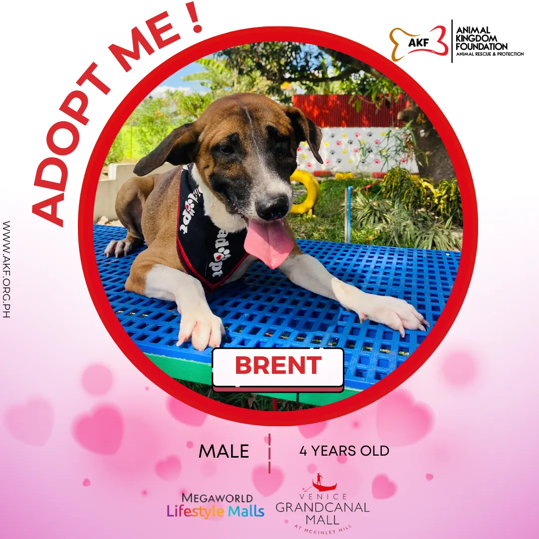 BRENT