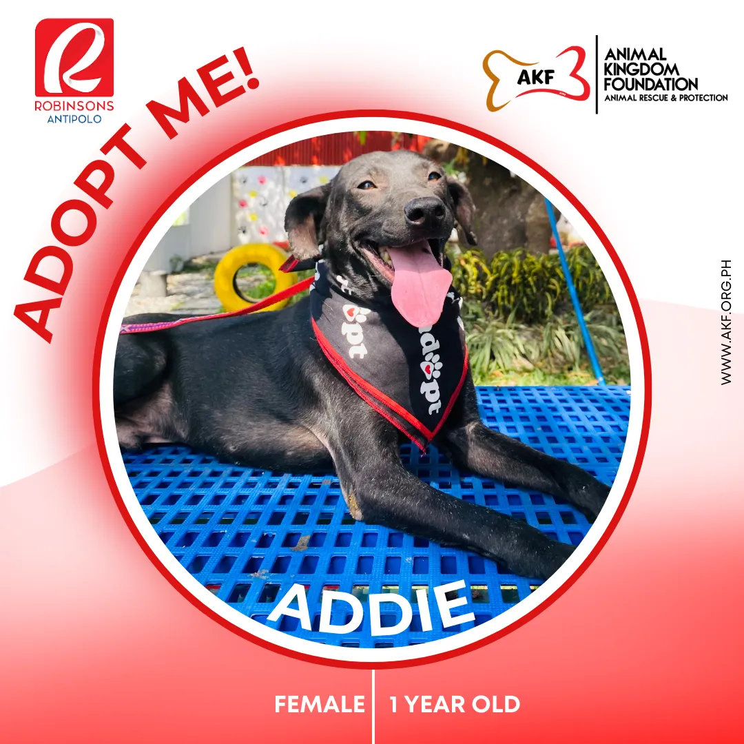 ADDIE
