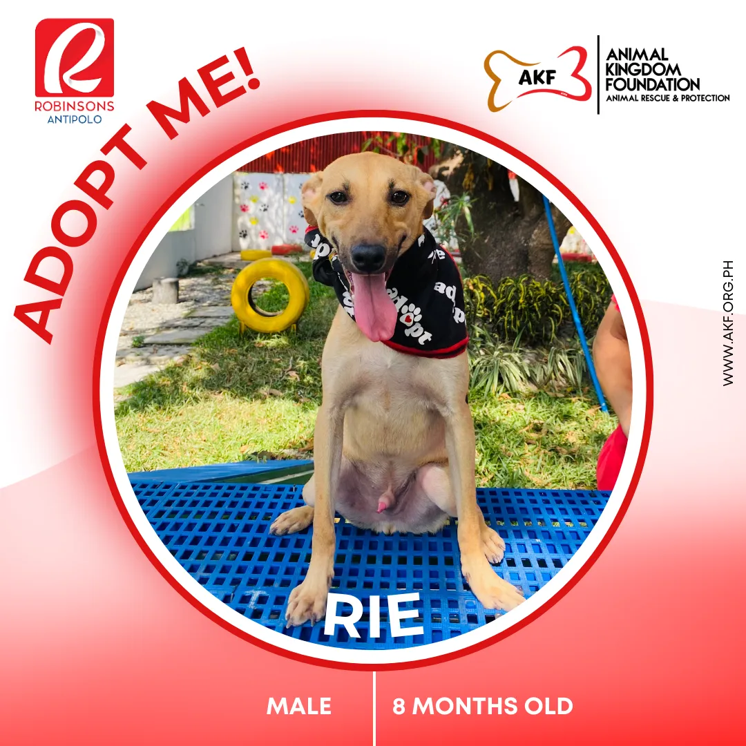 RIE