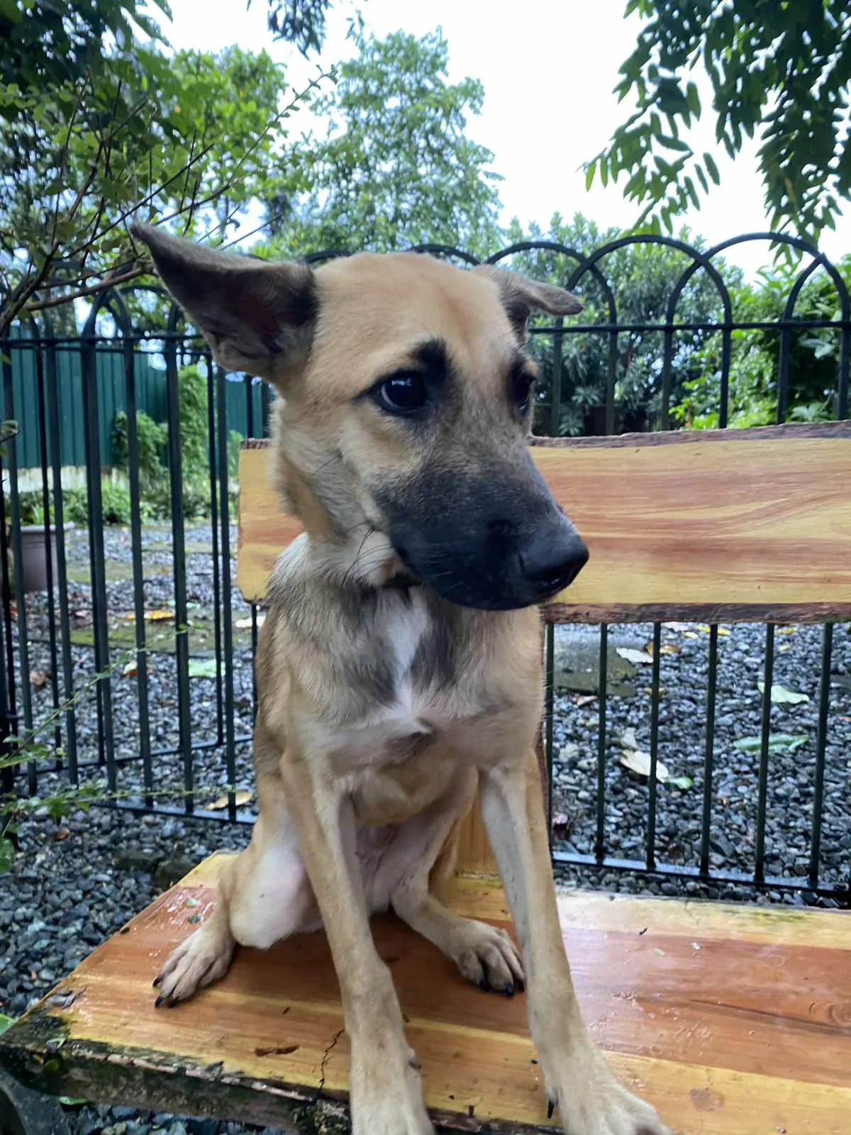 Max image 0