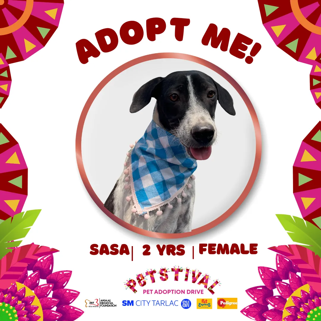 SASA image 0