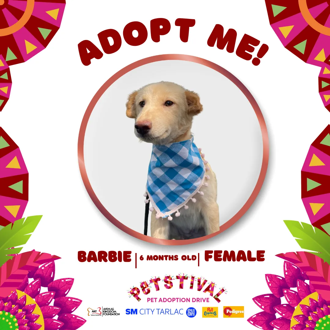 Barbie image 0