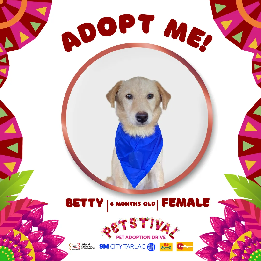 Betty image 0