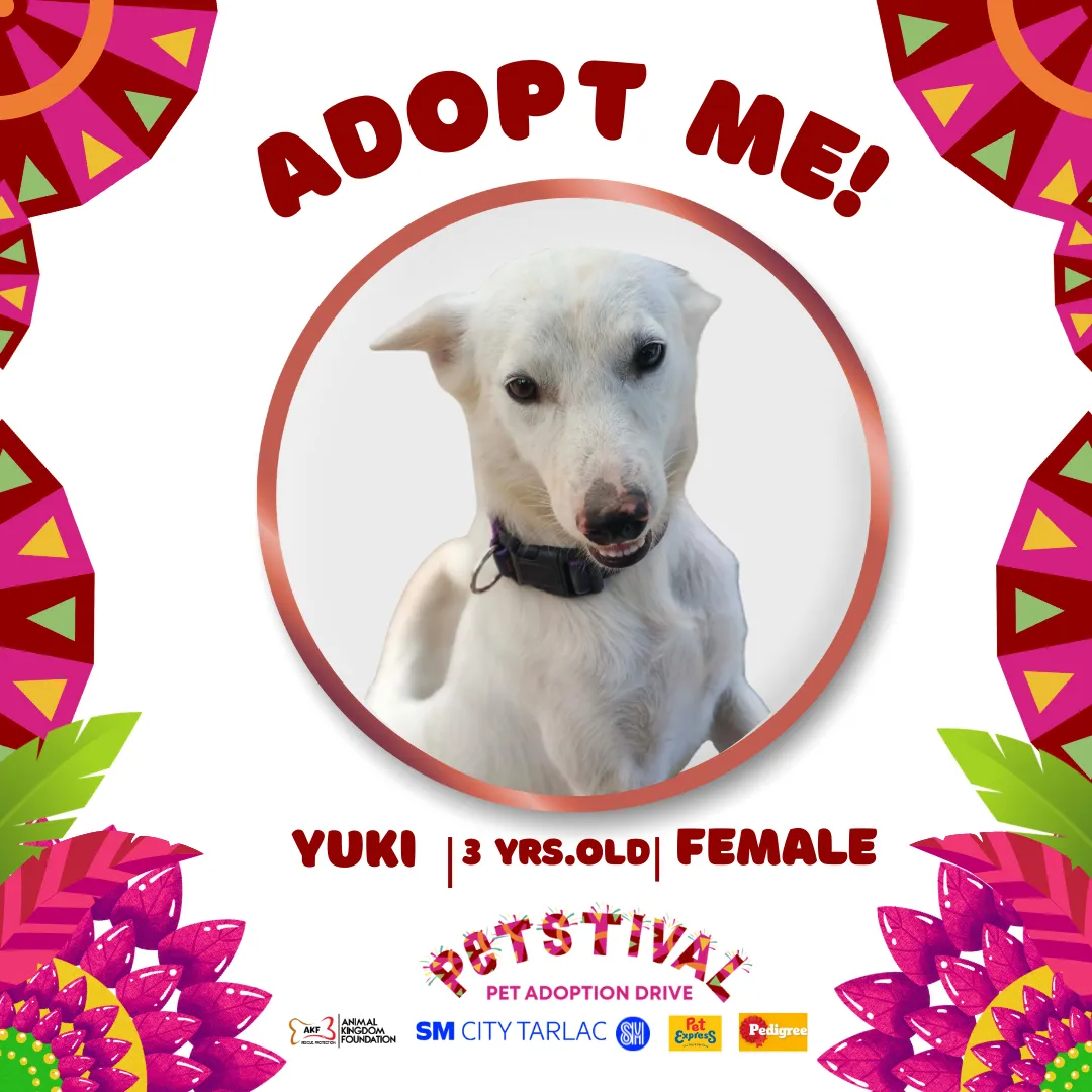 YUKI image 0