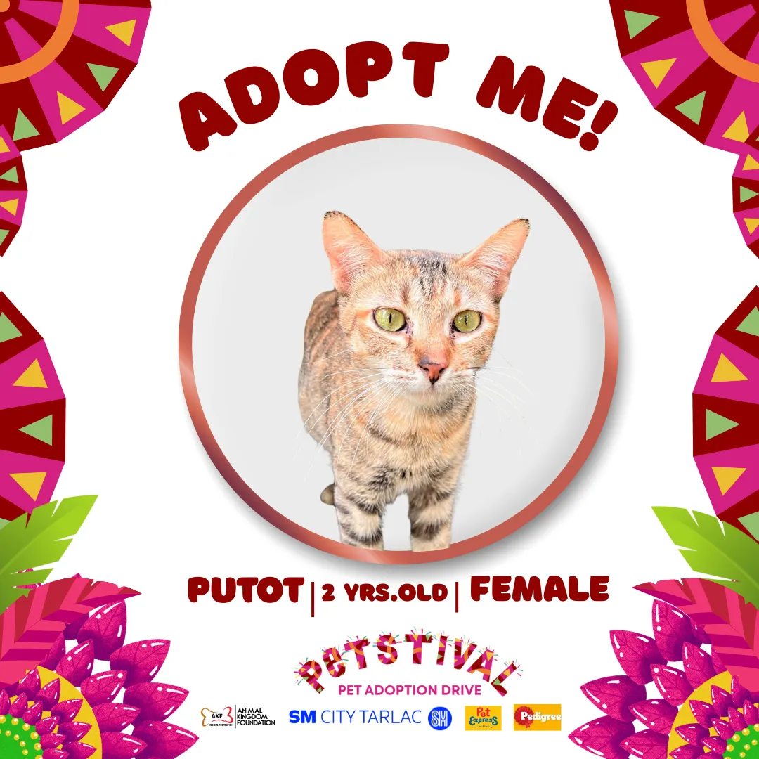 PUTOT  image 0