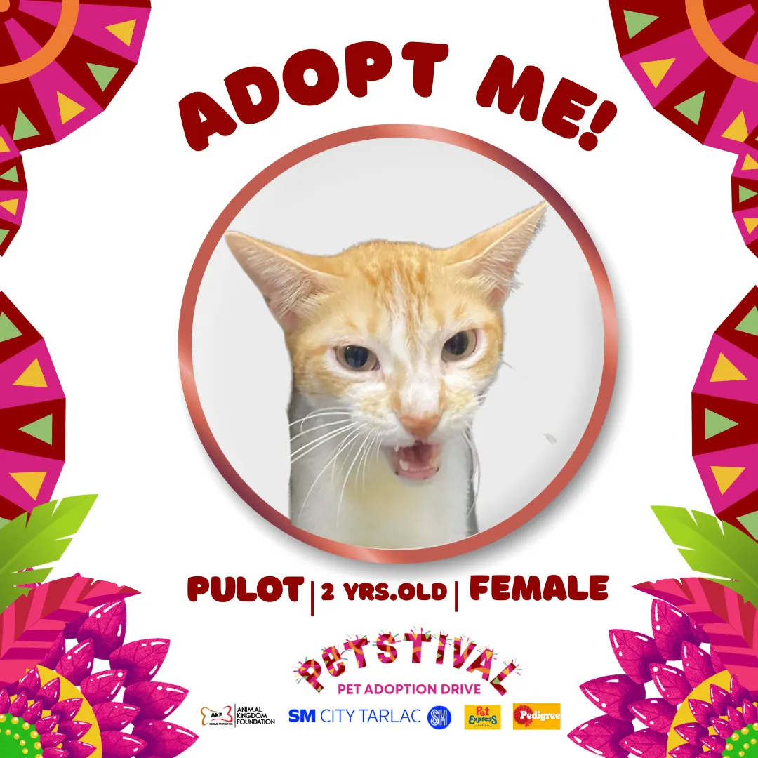 PULOT image 0