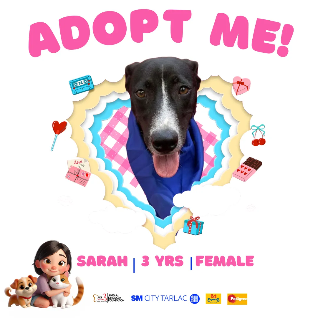 SARAH image 0