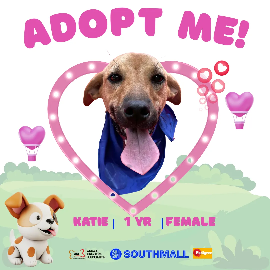 Katie image 0