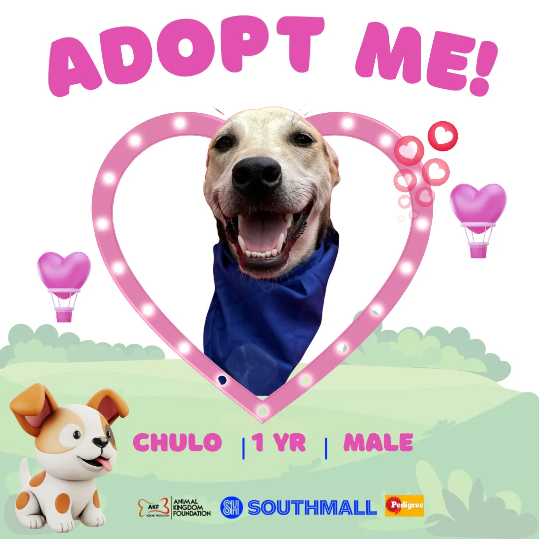 Chulo image 0