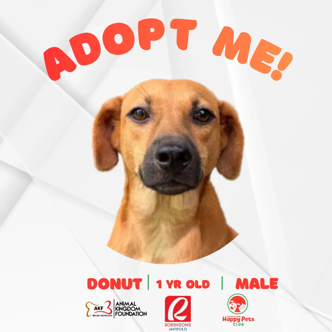 Donut image 0